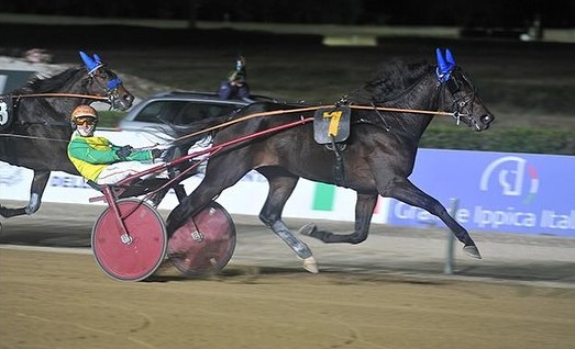 GRAN PREMIO ANACT STAKES PLUS+ I PARTENTI