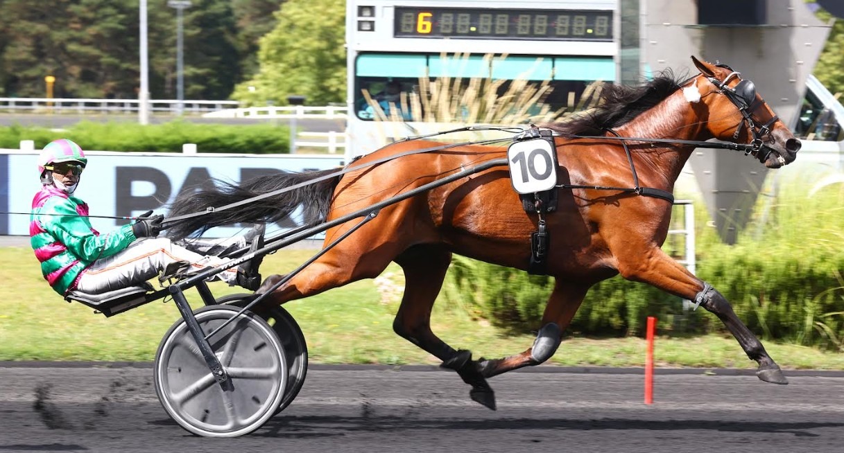 Cobra Killer Gar il fenomeno del trotto italiano