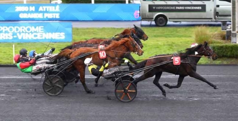 Gold Mail la vittoria che ci voleva