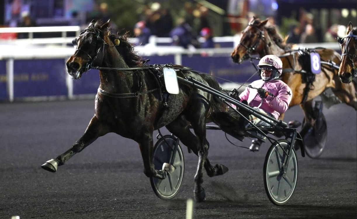 Guglielmo Jet incanta, Cobra Killer Gar domina, Fly Top sprinta… è sempre grand’Italia a Vincennes