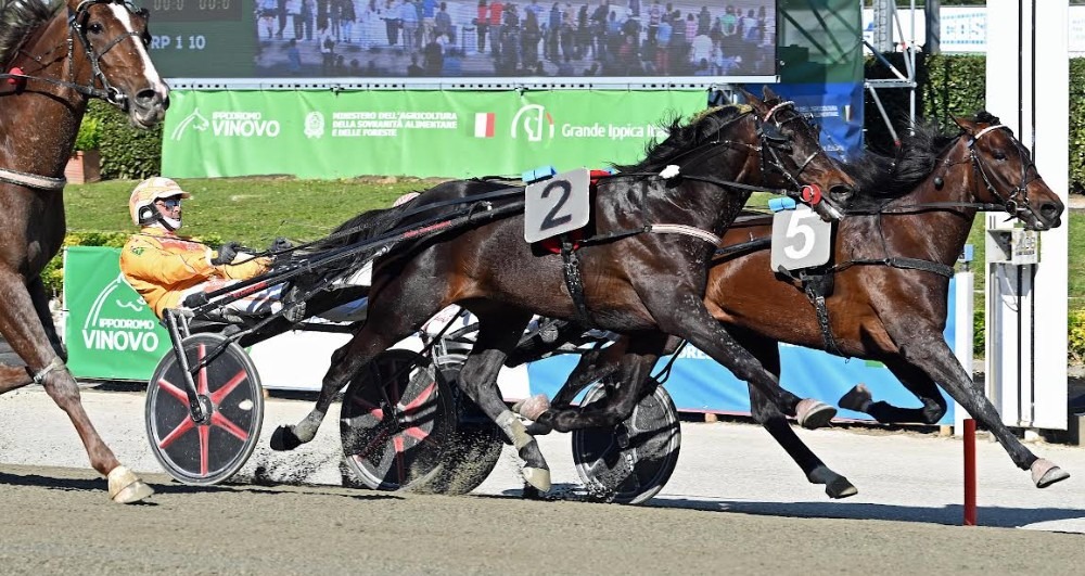 Guglielmo Jet il Derby dei 4 anni Anact Stakes Plus+ del campione da esportazione